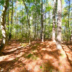Photo #15 of SOLD property in Off Cattail Rd, Mears, VA 112.0 acres