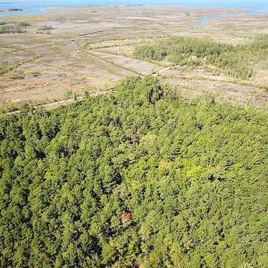 Photo #17 of SOLD property in Off Cattail Rd, Mears, VA 112.0 acres