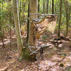 Photo #24 of SOLD property in Off Cattail Rd, Mears, VA 112.0 acres