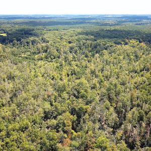 Photo #25 of SOLD property in Off Cattail Rd, Mears, VA 112.0 acres