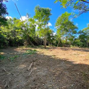 Photo #26 of SOLD property in Off Cattail Rd, Mears, VA 112.0 acres