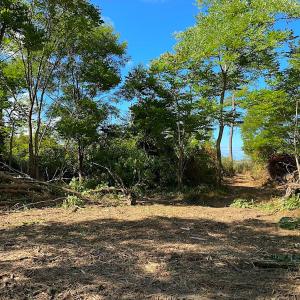 Photo #27 of SOLD property in Off Cattail Rd, Mears, VA 112.0 acres