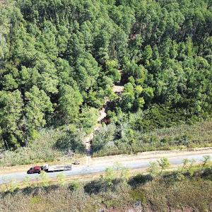 Photo #28 of SOLD property in Off Cattail Rd, Mears, VA 112.0 acres
