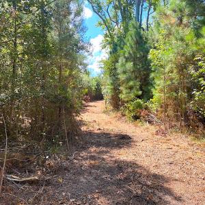 Photo #29 of SOLD property in Off Cattail Rd, Mears, VA 112.0 acres
