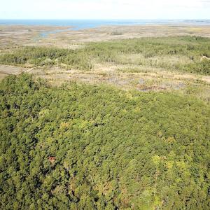 Photo #31 of SOLD property in Off Cattail Rd, Mears, VA 112.0 acres