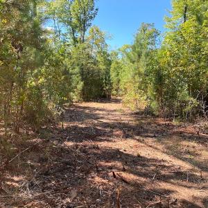 Photo #32 of SOLD property in Off Cattail Rd, Mears, VA 112.0 acres