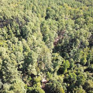Photo #33 of SOLD property in Off Cattail Rd, Mears, VA 112.0 acres