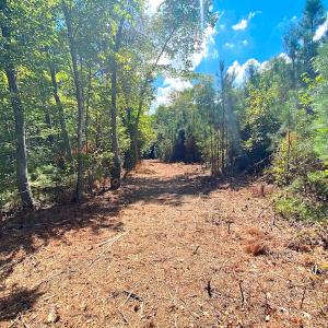 Photo #34 of SOLD property in Off Cattail Rd, Mears, VA 112.0 acres