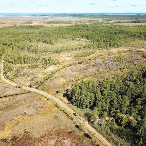 Photo #35 of SOLD property in Off Cattail Rd, Mears, VA 112.0 acres