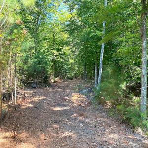 Photo #36 of SOLD property in Off Cattail Rd, Mears, VA 112.0 acres