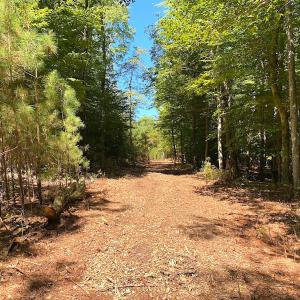 Photo #37 of SOLD property in Off Cattail Rd, Mears, VA 112.0 acres