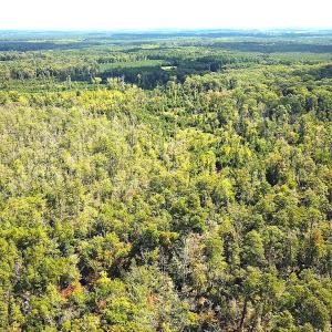 Photo #38 of SOLD property in Off Cattail Rd, Mears, VA 112.0 acres