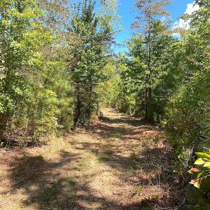 Photo #39 of SOLD property in Off Cattail Rd, Mears, VA 112.0 acres