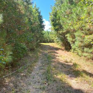 Photo #40 of SOLD property in Off Cattail Rd, Mears, VA 112.0 acres