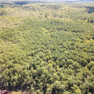 Photo #41 of SOLD property in Off Cattail Rd, Mears, VA 112.0 acres