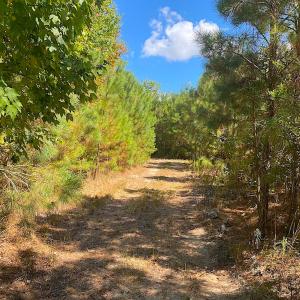 Photo #42 of SOLD property in Off Cattail Rd, Mears, VA 112.0 acres