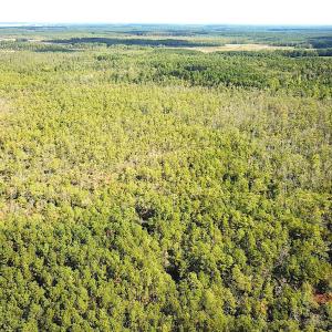 Photo #43 of SOLD property in Off Cattail Rd, Mears, VA 112.0 acres
