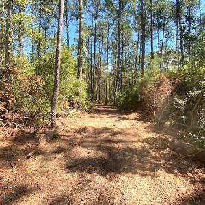 Photo #44 of SOLD property in Off Cattail Rd, Mears, VA 112.0 acres