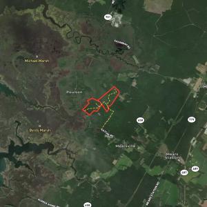 Photo #45 of SOLD property in Off Cattail Rd, Mears, VA 112.0 acres