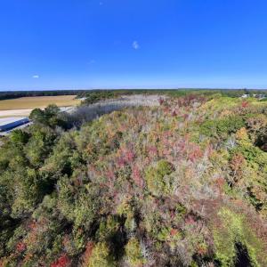 Photo #12 of SOLD property in Off Buck Swamp Road, Pikeville, NC 30.5 acres