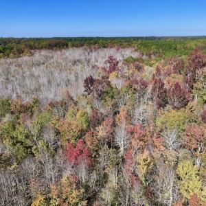 Photo #13 of SOLD property in Off Buck Swamp Road, Pikeville, NC 30.5 acres