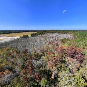 Photo #14 of SOLD property in Off Buck Swamp Road, Pikeville, NC 30.5 acres