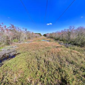 Photo #19 of SOLD property in Off Buck Swamp Road, Pikeville, NC 30.5 acres