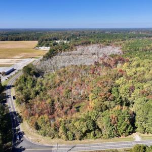 Photo #3 of SOLD property in Off Buck Swamp Road, Pikeville, NC 30.5 acres