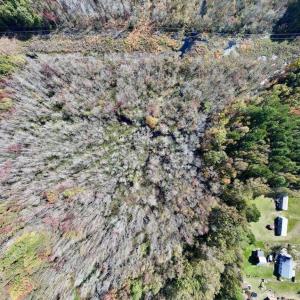 Photo #23 of SOLD property in Off Buck Swamp Road, Pikeville, NC 30.5 acres