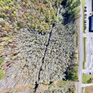 Photo #24 of SOLD property in Off Buck Swamp Road, Pikeville, NC 30.5 acres