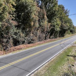 Photo #28 of SOLD property in Off Buck Swamp Road, Pikeville, NC 30.5 acres