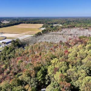 Photo #4 of SOLD property in Off Buck Swamp Road, Pikeville, NC 30.5 acres