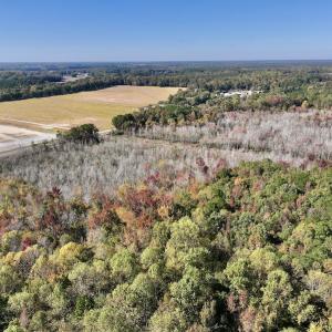 Photo #5 of SOLD property in Off Buck Swamp Road, Pikeville, NC 30.5 acres