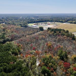 Photo #7 of SOLD property in Off Buck Swamp Road, Pikeville, NC 30.5 acres