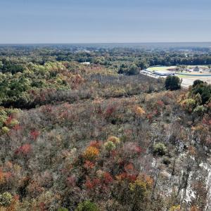 Photo #8 of SOLD property in Off Buck Swamp Road, Pikeville, NC 30.5 acres