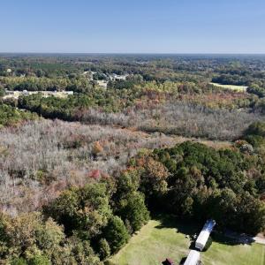Photo #9 of SOLD property in Off Buck Swamp Road, Pikeville, NC 30.5 acres