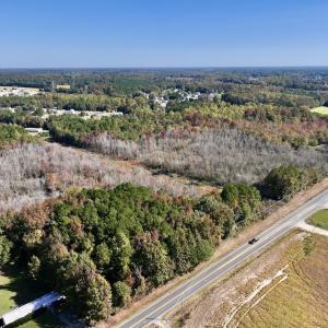 Photo #10 of SOLD property in Off Buck Swamp Road, Pikeville, NC 30.5 acres