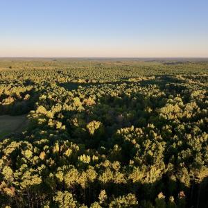 Photo #11 of SOLD property in Off Old Maple Rd. , Warrenton, NC 9.7 acres