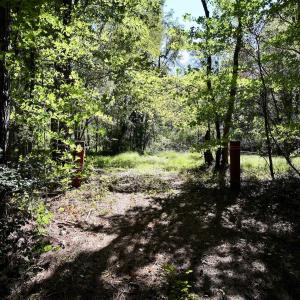 Photo #14 of SOLD property in Off Old Maple Rd. , Warrenton, NC 9.7 acres