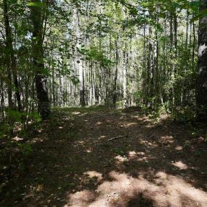 Photo #15 of SOLD property in Off Old Maple Rd. , Warrenton, NC 9.7 acres
