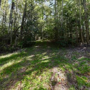 Photo #16 of SOLD property in Off Old Maple Rd. , Warrenton, NC 9.7 acres