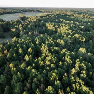 Photo #4 of SOLD property in Off Old Maple Rd. , Warrenton, NC 9.7 acres