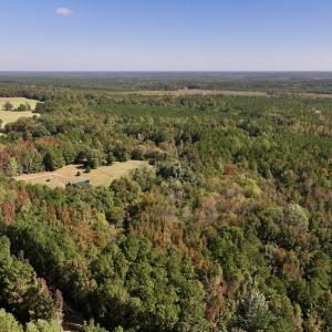 Photo #5 of SOLD property in Off Old Maple Rd. , Warrenton, NC 9.7 acres