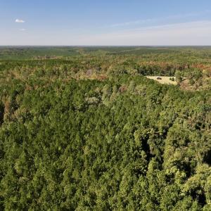 Photo #7 of SOLD property in Off Old Maple Rd. , Warrenton, NC 9.7 acres