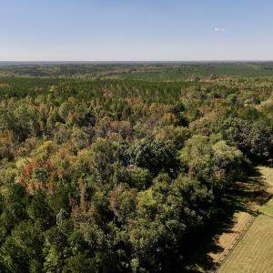 Photo #9 of SOLD property in Off Old Maple Rd. , Warrenton, NC 9.7 acres