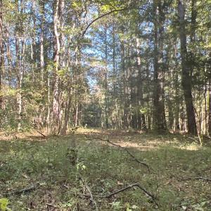 Photo #21 of SOLD property in Off Old Maple Rd. , Warrenton, NC 9.7 acres