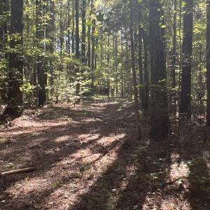Photo #23 of SOLD property in Off Old Maple Rd. , Warrenton, NC 9.7 acres
