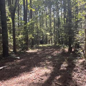 Photo #24 of SOLD property in Off Old Maple Rd. , Warrenton, NC 9.7 acres