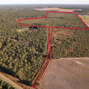 Photo #2 of SOLD property in Off Lightwood Bridge Road, Wallace, NC 90.0 acres