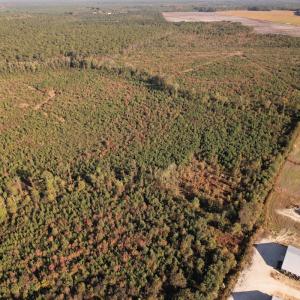 Photo #8 of SOLD property in Off Lightwood Bridge Road, Wallace, NC 90.0 acres